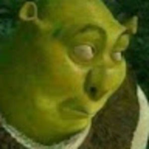 Meet your Posher, Ally